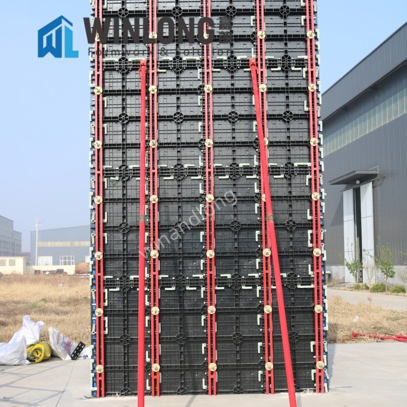 WINLONG steel composite wall formwork support with red tie rods